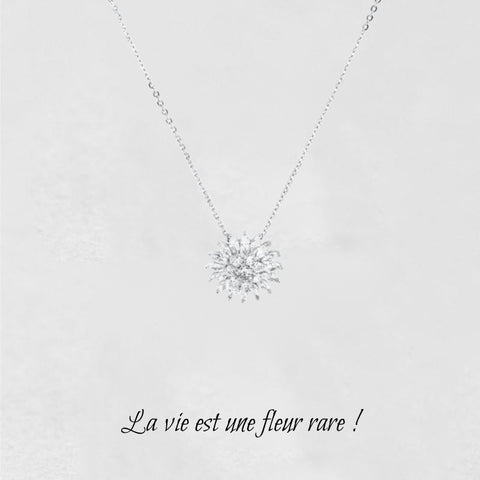 Collier fleurs d'argent